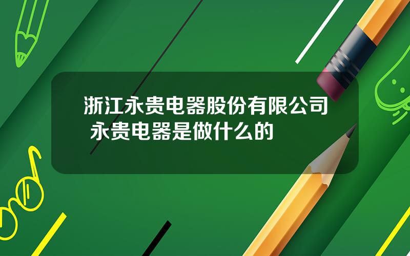 浙江永贵电器股份有限公司 永贵电器是做什么的